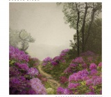  Music Review - ` Rhododendron Highway` by Brook Dixon (dmac) 